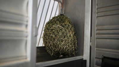 Hay Chix - Quarter Bale Net 1-3/4"
