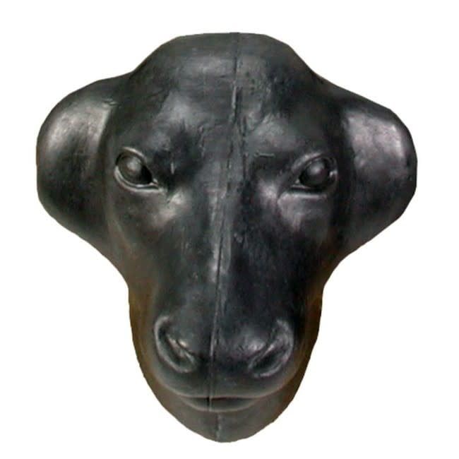 Roping Calf Head