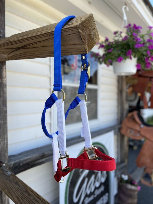 Nylon Halter Patriotic Red, White, Blue - Avg