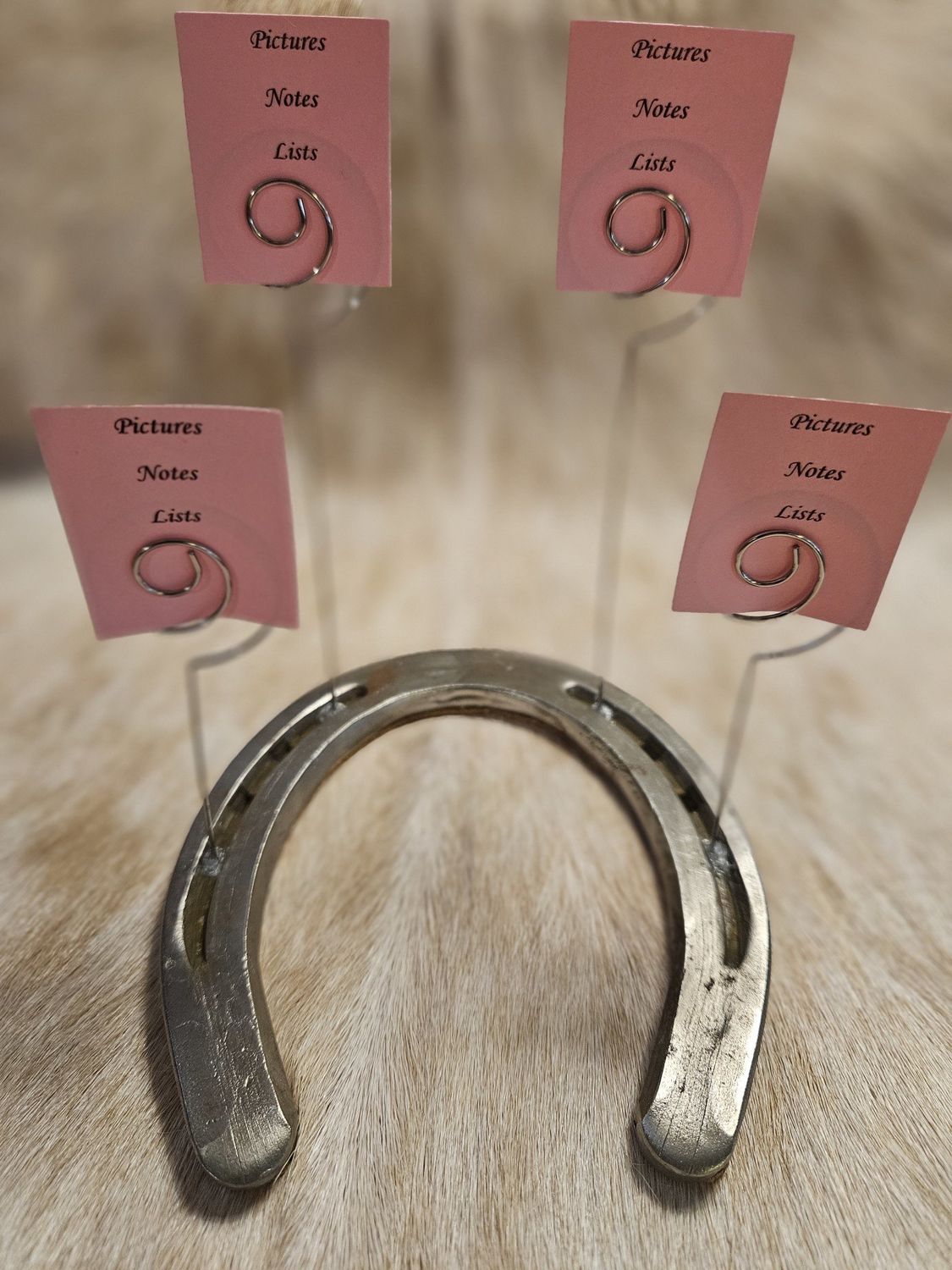 Horseshoe Photo Holder