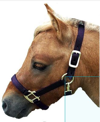 Adjustable Mini Nylon Halter