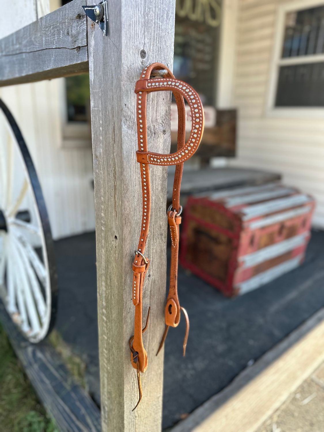 Circle L One Ear Headstall - Spotted