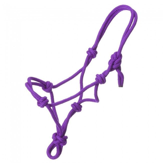 Miniature Poly Rope Tied Halter, Color: Purple, Size: Small