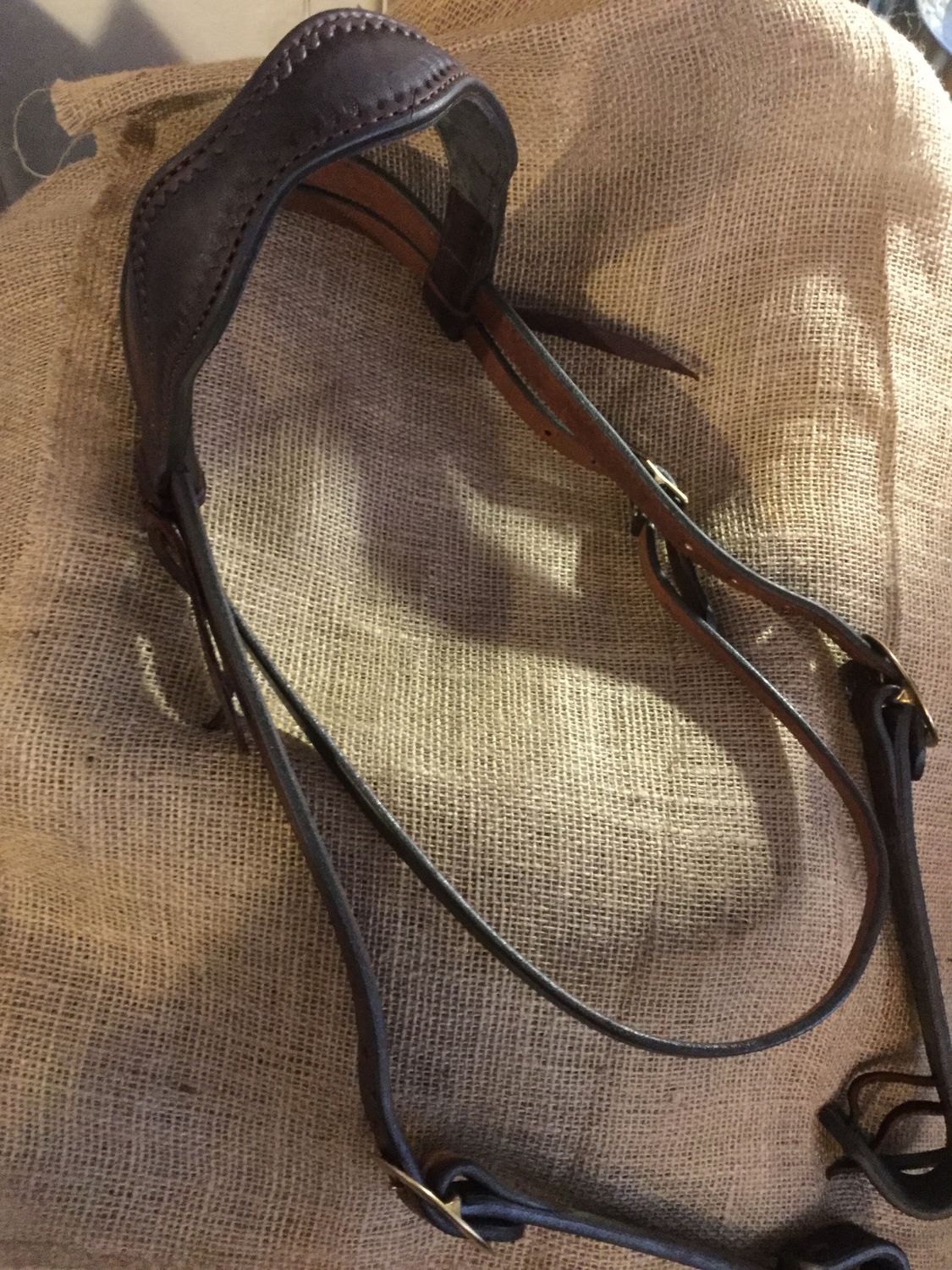 Circle L Scalloped Headstall - Draft Size, Color: Dark Oil - Shell Tooling