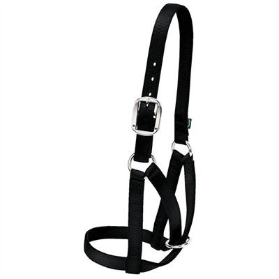 Cow Barn Halter, Black Cow Barn Halter, Black, Size: M