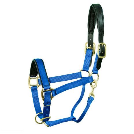 Nylon Breakaway Halter with Padded Crown/Nose - Mini, Color: Average - Blue