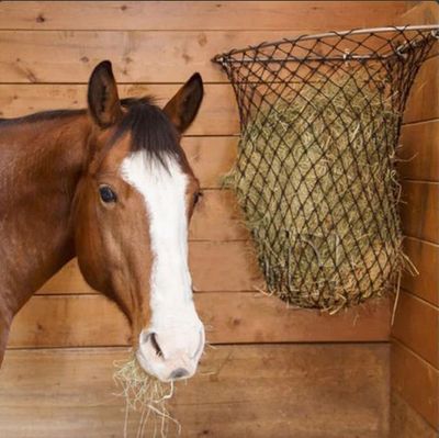 Hay Chix - Half Bale Hay Rack - 1 3/4" Heavy Duty