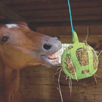 Horse Toys