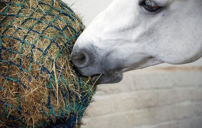 Hay Nets - Additional Options