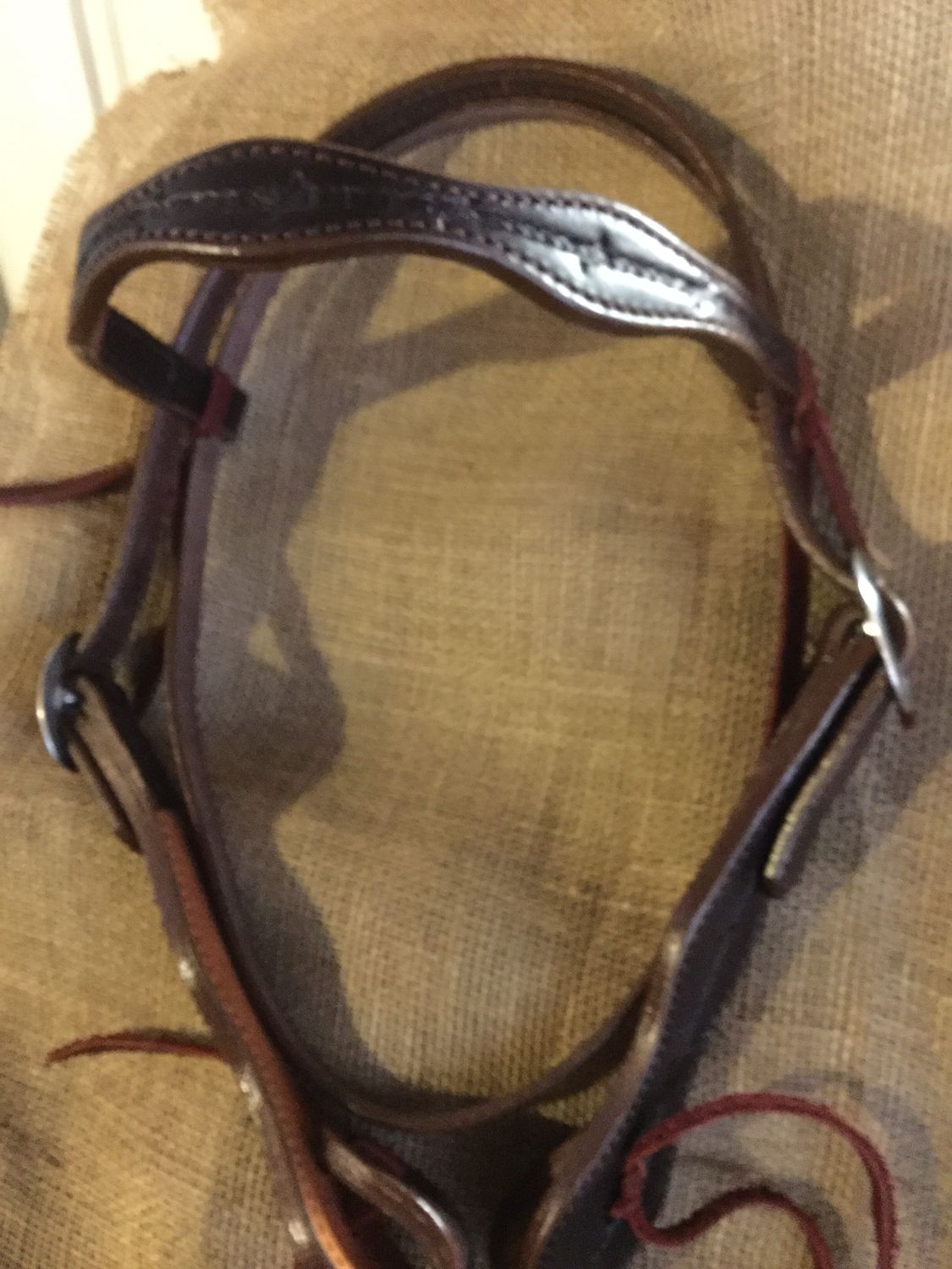 Circle L Scalloped Headstall - Horse Size, Size: Dk. Oil Barb Wire Tooled