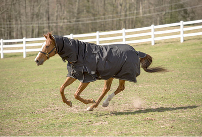 Horsewear