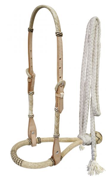 Leather Headstall with Bosal and Reins, Light Oil