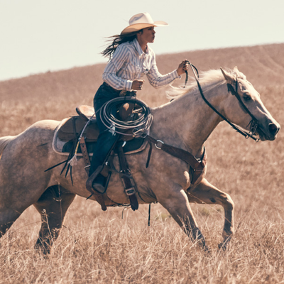 Cutters, Reiners, Cowhorse & Ropers