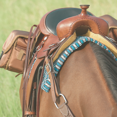 Trail & Pleasure Saddles
