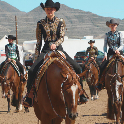 Show & Training Saddles