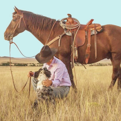 Previously Loved Saddles