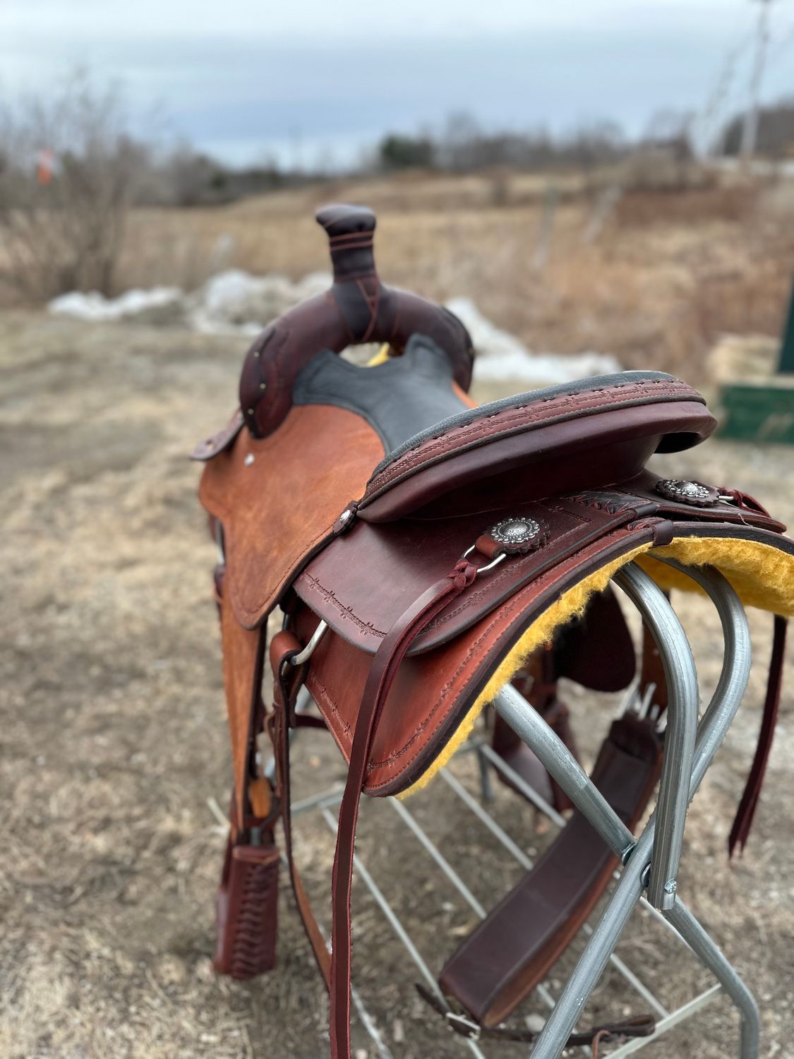 17" Wide Circle L Ranch Roper -  Dark Oil