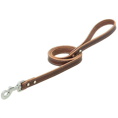 Bridle Leather Dog Leash - 6'