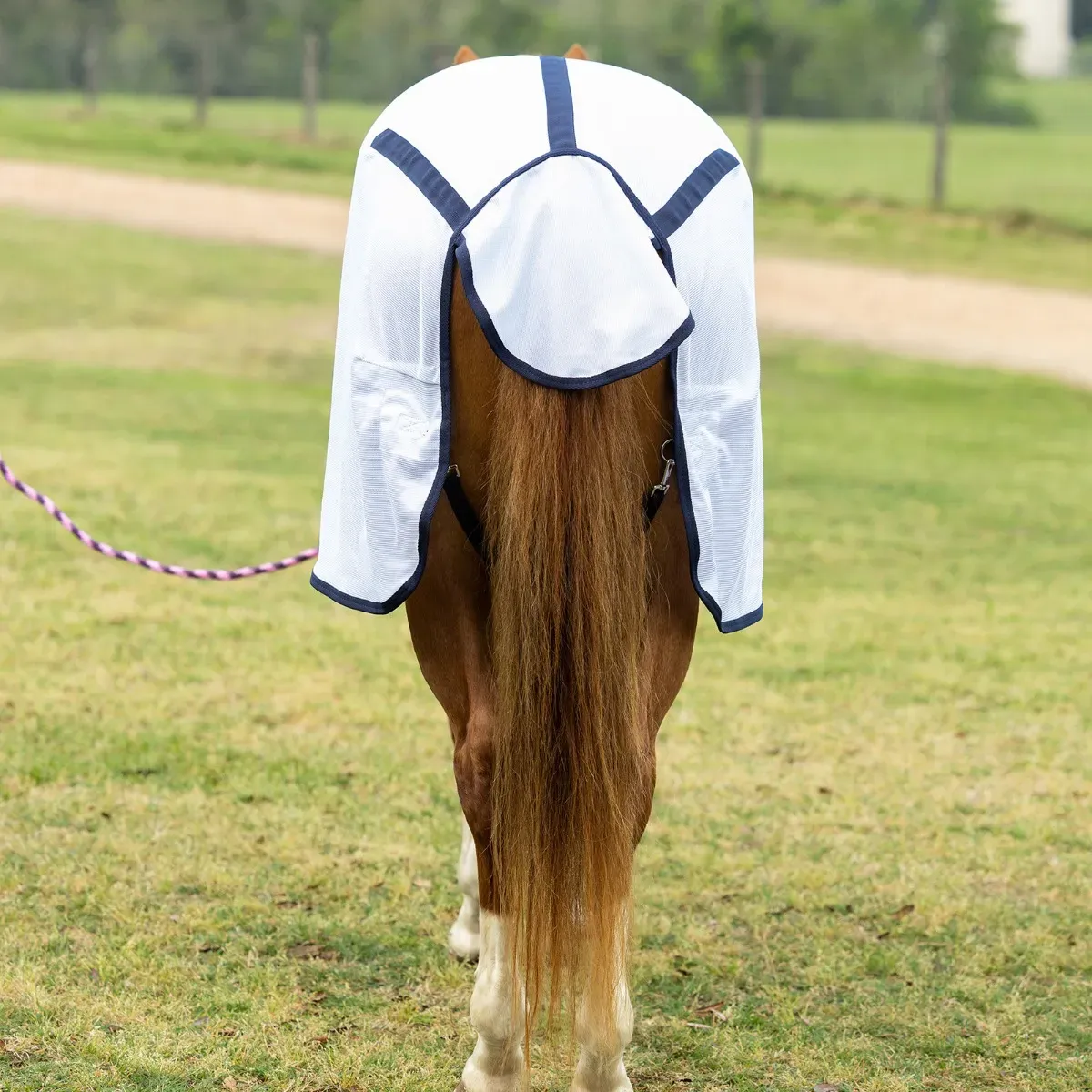 Breathable Mesh Fly Sheet