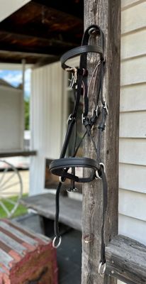 Side Pull & Bitless Bridle Combo