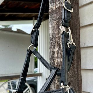 Circle L Leather Halter