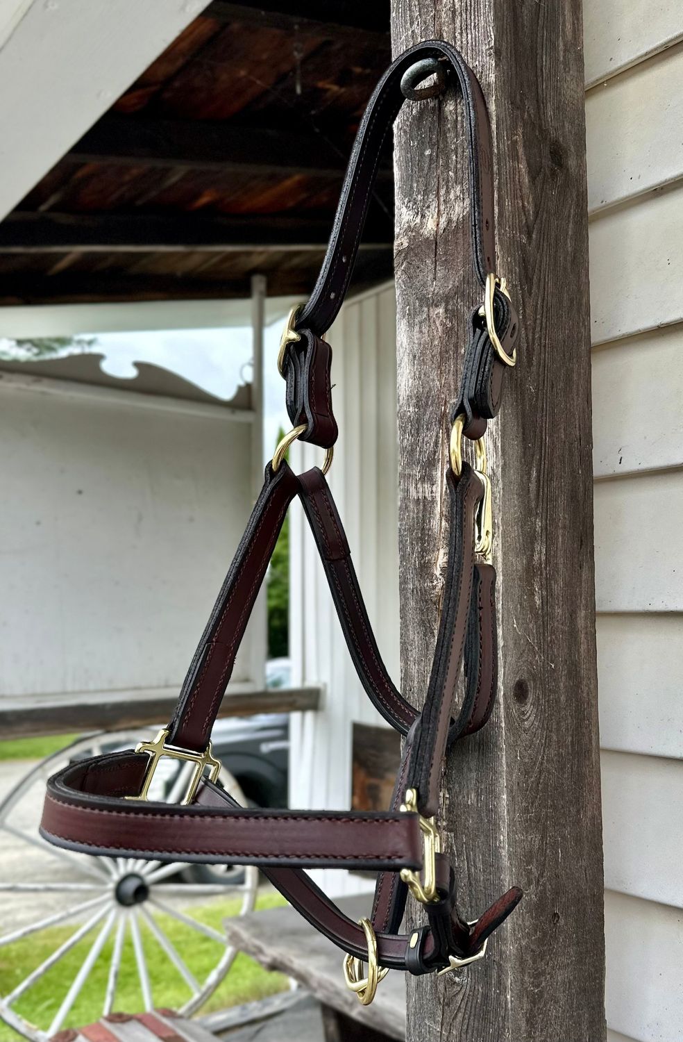 Circle L Leather Halter