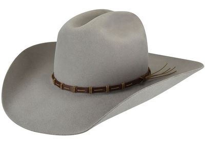 Bailey Alsworth 3X Western Hat
