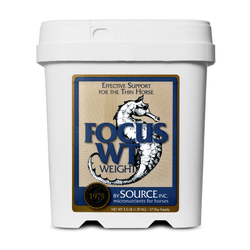 Source Focus WT Weight - 3.5lb