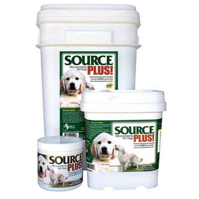 Source Plus! - 12oz