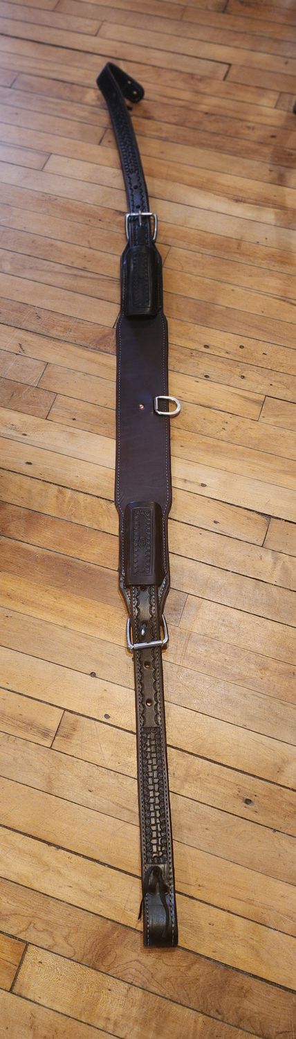 Circle L Flank Cinch with Billets (2)
