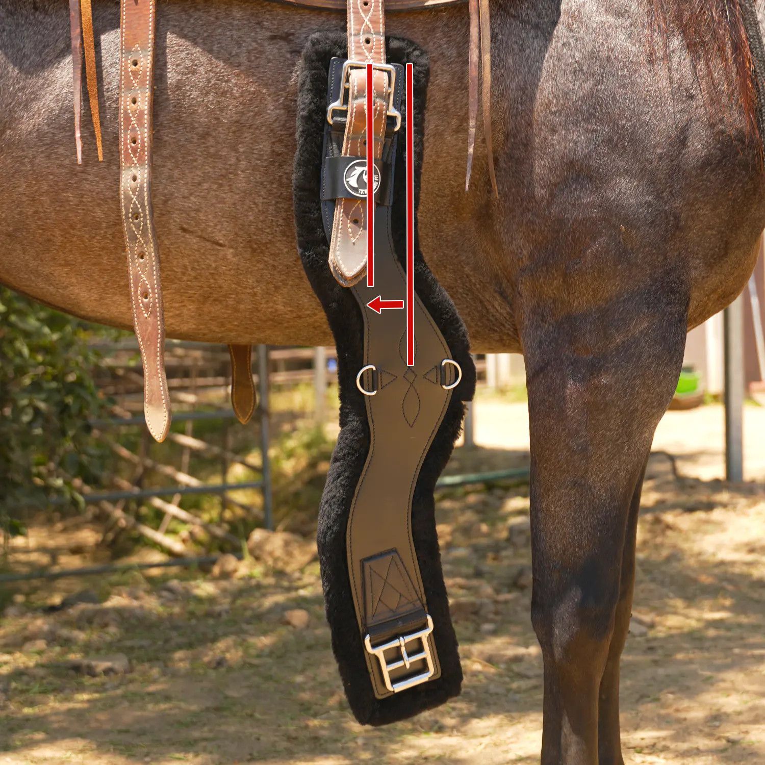 Shoulder Relief Cinch - Balance Buckle System