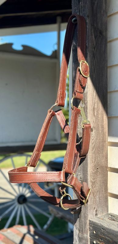 Circle L Leather Draft Halter - 1"