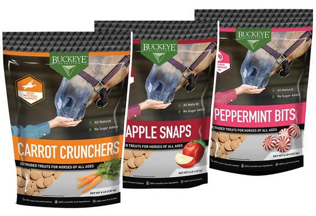 Buckeye Treats Large Bag - 4Lb