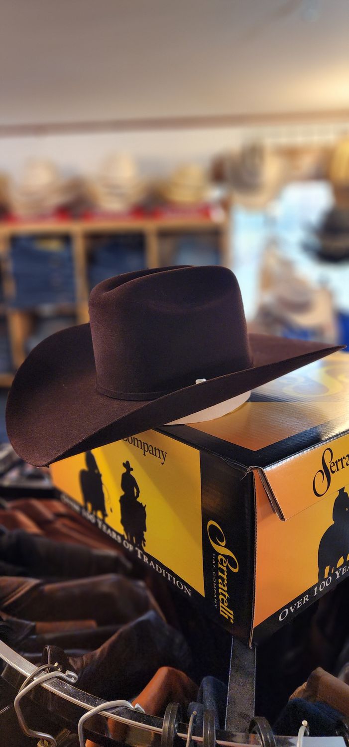 Serratelli 8X Beaver Fur Felt Hat - Black Cherry, Entre Brim Front Serratelli 8X Beaver Fur Felt Hat - Black Cherry, Entre Brim Front