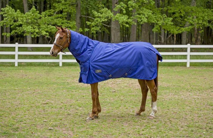 Turnout Blanket - TuffRider 1680 D Heavy Weight 350G Detachable Neck