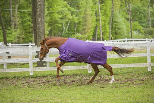 Turnout Blanket - TuffRider 1680 D Medium Weight 200G Standard Neck