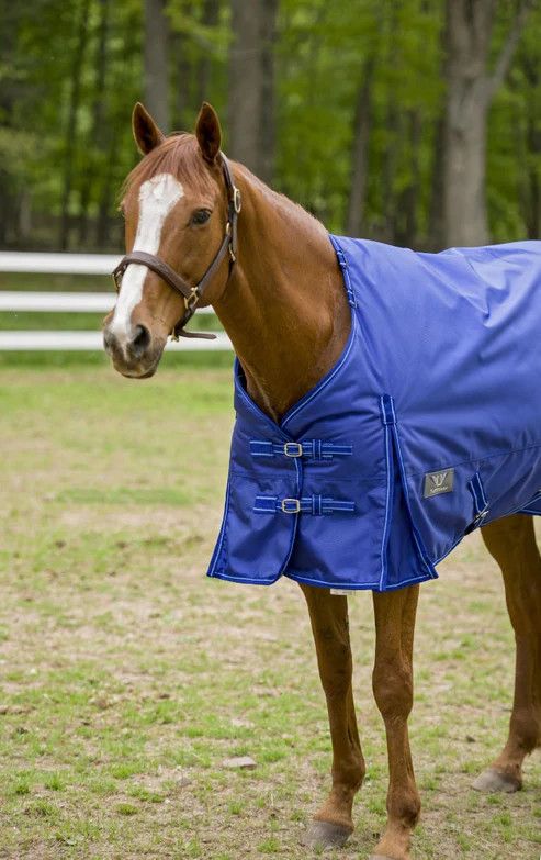 Turnout Blanket - TuffRider 1680 D Heavy Weight 350G Detachable Neck