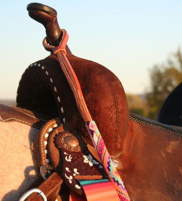 Whips, Quirts, Over & Under