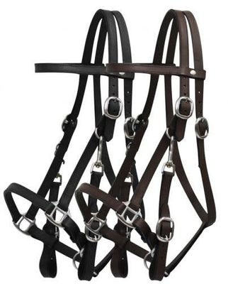 Showman Leather Halter Bridle Combo