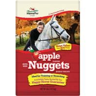 Bite Size Nuggets 4Lb Bag - Treats, Flavor: Apple