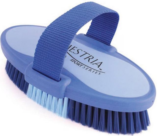 "Equestria Oval Body Brush - 6.75" or 7", Color: Blue