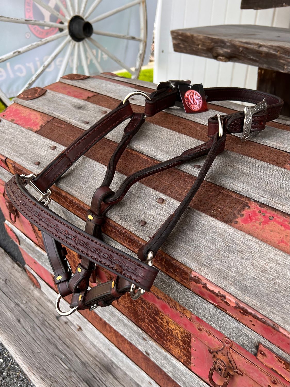 Circle L Tooled Five Point Adjustable Show Halter