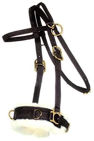 Lunging Caveson, Nylon with Fleece Lined Nose, Black - Horse Size