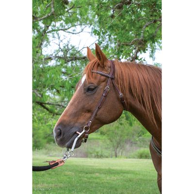 Circle Y Spot Accent Browband Headstall