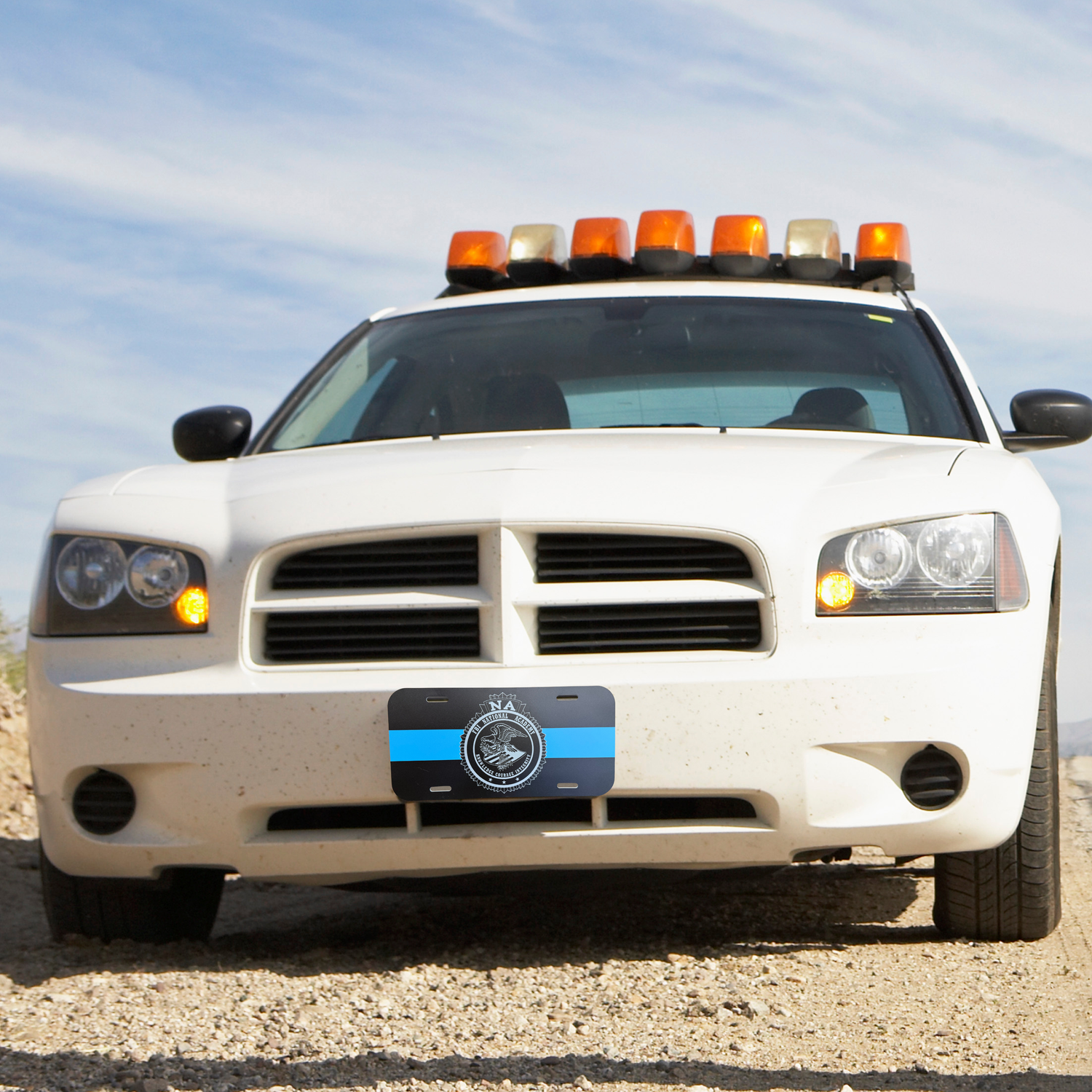 NA Blue Line License Plate