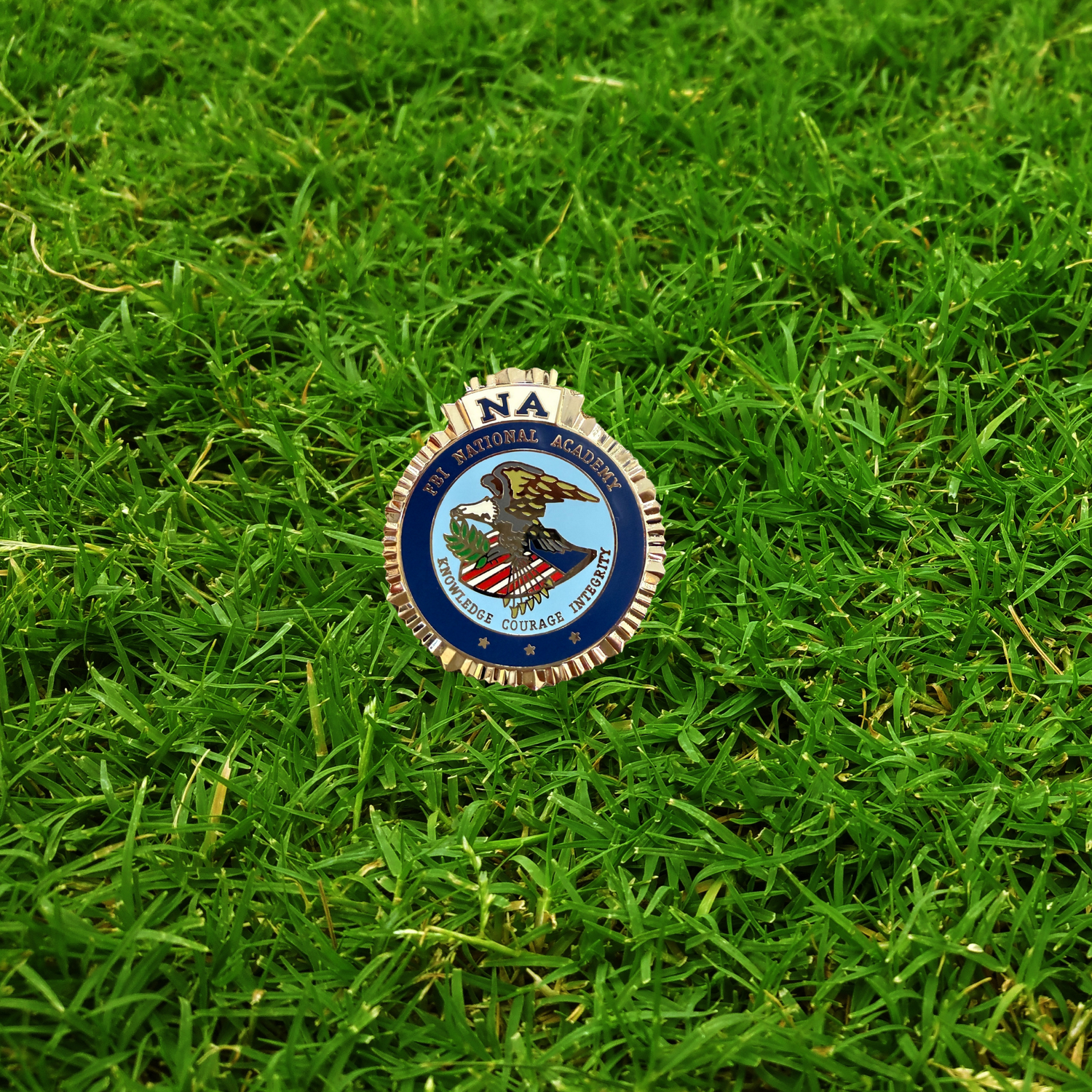 Color Seal Medallion #2681F