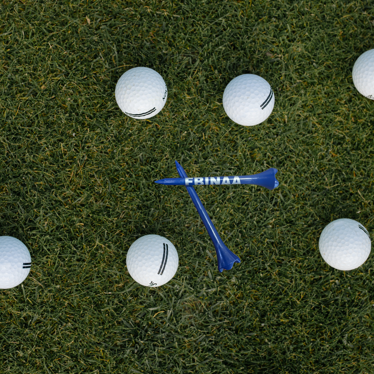 FBINAA Silver Print Golf Tees