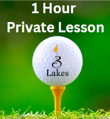 Lesson 1 hour private