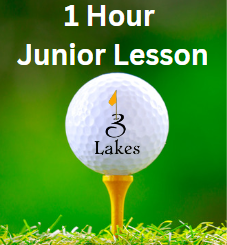 Lessons Junior 1 hour