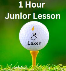 Lessons Junior 1 hour